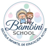 BAMBINI SCHOOL MONTESSORI logo - Similar company to Blue Dolphin Playskool