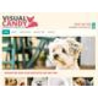 Pine Ridge Pet Resort