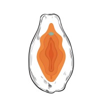 Papaya logo - Similar company to Plumthyme
