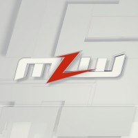 Major League Wrestling logo - Similar company to Springtime Media