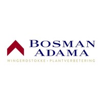 Bosman Adama (Pty) Ltd logo - Similar company to Exec Innovative Solutions (Pty) Ltd