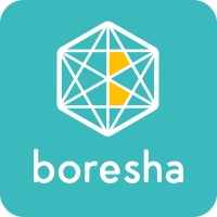 Boresha Technologies Limited logo - Similar company to Andersen In Botswana