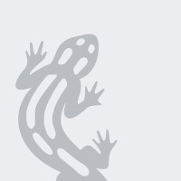 Salamander myWindow España logo - Similar company to Salamander Mywindow