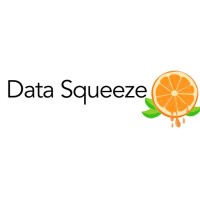 Data Squeeze logo - Similar company to Matter Ai