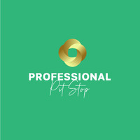 Professional Pit Stop logo - Similar company to A Little Bit Of Hr