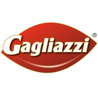 Gagliazzi SRL logo - Similar company to Visione Moderna