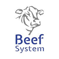 Beef System logo - Similar company to Plyrtech