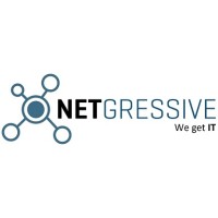Netgressive Solutions, LLC logo - Similar company to Cyberforce It