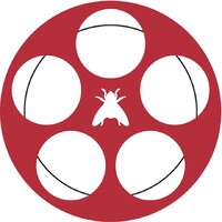 Sync Flies logo - Similar company to The Sync Agency