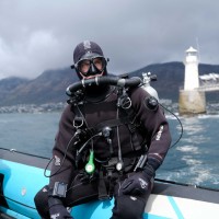 Roger Horrocks – Underwater Cinematographer logo - Similar company to Shark And Safari - Tours And Shuttles