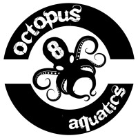 OCTOPUS 8 AQUATICS LIMITED