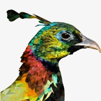 courierwale logo - Similar company to Let'S Us Store