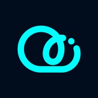 Clouding AI logo - Similar company to Falcon Wise Technology