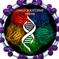 Omics Bootcamp India logo - Similar company to Ragnarokk