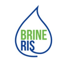 BrineRIS logo - Similar company to Nigerian Building And Road Research Institute (Nbrri)