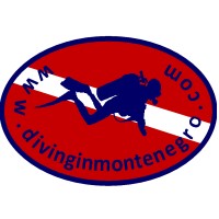 Diving club Peoples logo - Similar company to Eastern Europe And Transatlantic Network