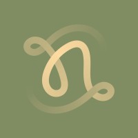 N Fiberz logo - Similar company to Air Mobility By Setec