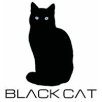 Black Cat Global logo - Similar company to Mediachamps Network