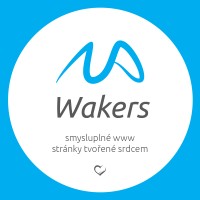 Wakers logo - Similar company to Skama - Salesforce Consulting