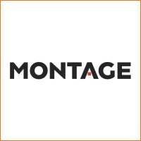 Montage Professional Services logo - Similar company to Parallel42 : Data Engineering & Analytics