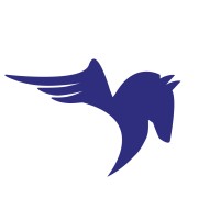 Pegasus Public Affairs logo - Similar company to Buzzcapture (Part Of Obi4Wan)