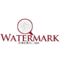 Watermark Forensic Services & Litigation Support