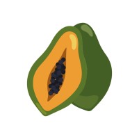 ORCHARD OF FLAVOURS logo - Similar company to Intelicanna
