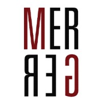 MERGER Advisors logo - Similar company to Massive Informatics
