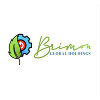 Brimon Global Holdings logo - Similar company to Jepsen Global
