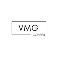 VMG Conseil logo - Similar company to Lms3