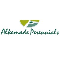 Alkemade Perennials logo - Similar company to Boultons Nurseries
