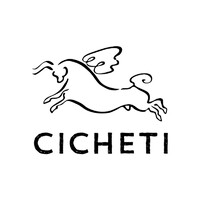 The Cicheti Group logo - Similar company to Tipo