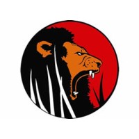 Digital Roar Studios