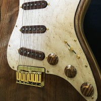 Peter Knoot Custom Guitars logo - Similar company to Partners For Success