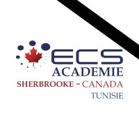 ECS Formation logo - Similar company to Formation & Consulting Information Technology