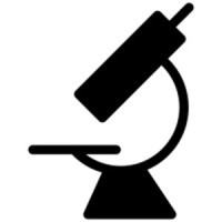 David Hanzel Consulting logo - Similar company to Naked Biome