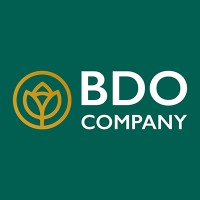 BDO Company - Consultoria e Gestão Agrícola Lda. logo - Similar company to Sourcevit Sp. Z O. O.