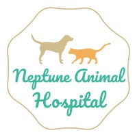 Neptune Animal Hospital
