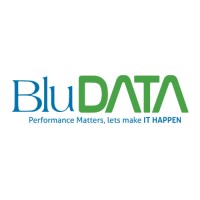 BluData LLC logo - Similar company to Bludata Llc