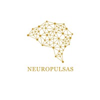 Neuropulsas logo - Similar company to Mohammad Ashraf - Oneworld Legacy