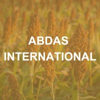 ABDAS INTERNATIONAL logo - Similar company to Baruni Global