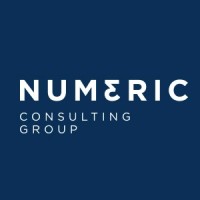 Numeric Consulting Group logo - Similar company to Btocnet