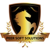 PeerSoft Solutions logo - Similar company to Peersoft