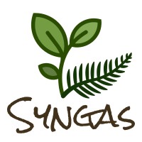 Syngas NZ Limited