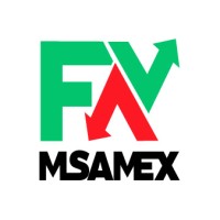 mSamex FX logo - Similar company to Cice