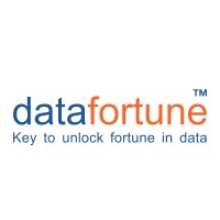 Datafortune logo - Similar company to Markytics.Ai
