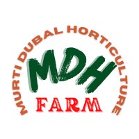 MURTI DUBAL HORTICULTURE (MDH) Farm logo - Similar company to Ag Jobs Queensland