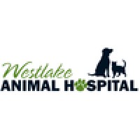 Westlake Animal Hospital Inc