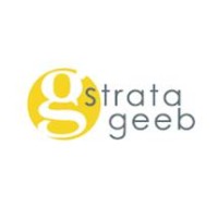 Stratageeb Limited logo - Similar company to Data Catalyst - Production-Ready Software, Crafted By Ai.