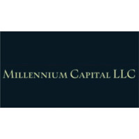 Millennium Capital, LLC. logo - Similar company to Skytots